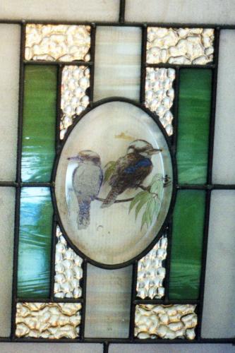 kookaburra